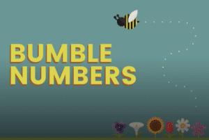 Bumble Numbers Game