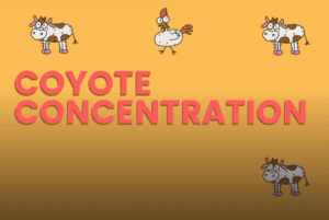 Coyote Concentration Game
