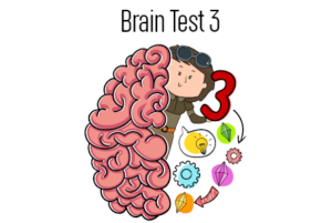 brain test 3