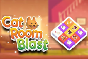cat room blast