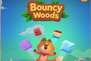 bouncy woods