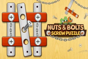 nuts and bolts screw puzzle